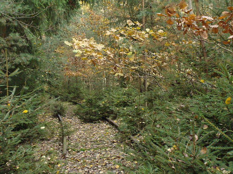 Některé tratě už konzervuje příroda, aneb lokálka Mladotice - Kralovice. Autor: Ivannah, Wikimedia Commons