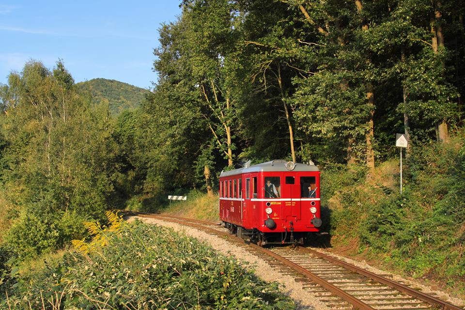 Motorový vůz M131.0 na trati mezi Velkým Březnem a Zubrnicemi. Foto: Zubrnická museální železnice