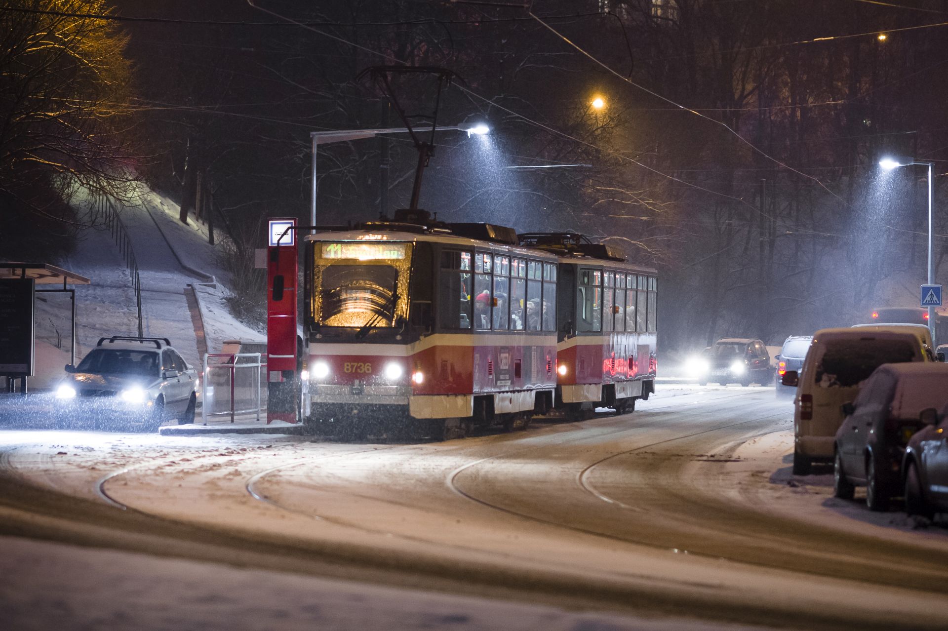 Tramvaj T6A5 na lince 11 v zastávce Pod Karlovem v Praze. Autor: DPP