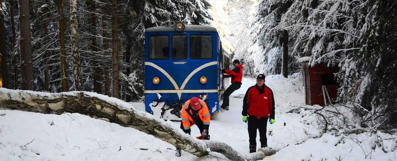 Kalamita na jindřichohradeckých úzkokolejkách. Pramen: JHMD