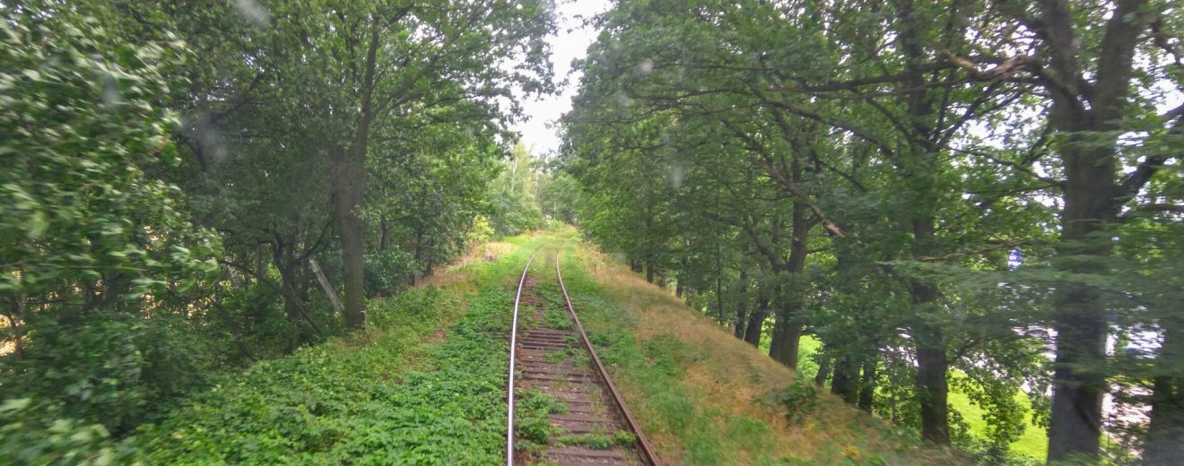 Trať mezi Hrádkem nad Nisou a Žitavou na polském zemí. Stav v létě 2017. Foto: Jan Sůra