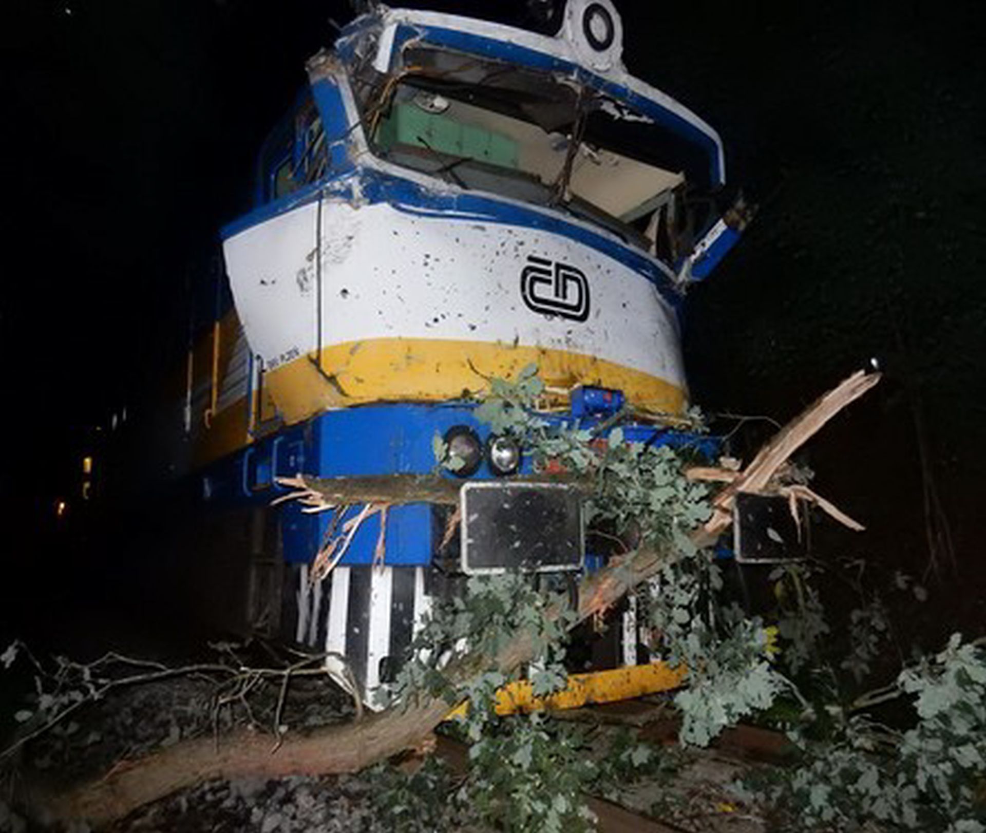 Náraz osobního vlaku mezi Holýšovem a Staňkovem do stromů. Foto: Drážní inspekce