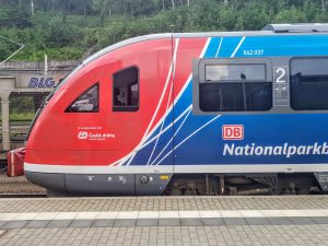 Siemens Desiro DB Regio v Bad Schandau. Foto: Jan Sůra / Zdopravy.cz
