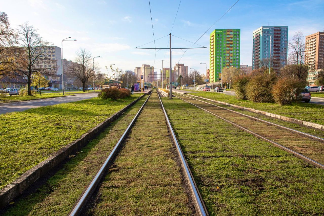 Nový zatravněný úsek tramvajové trati na ulici Dr. Martínka. Foto: Twitter Zuzany Bajgarové