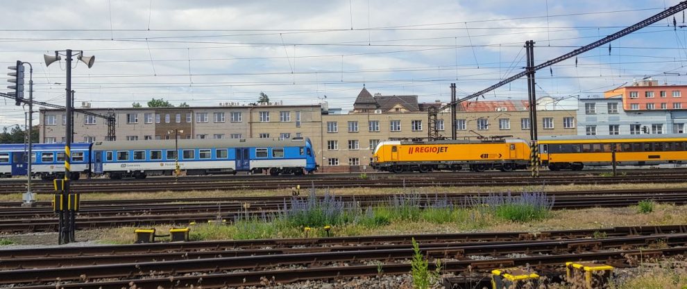 Vlaky Českých drah a RegioJetu v Pardubicích. Foto: Jan Sůra / Zdopravy.cz
