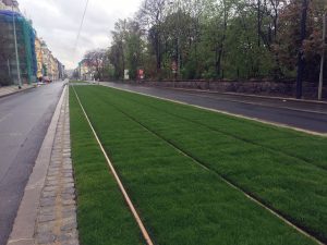 Zelený tramvajový pás v Praze 8. Foto: Zeleni.cz