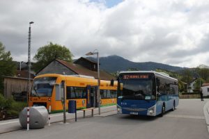 Autobus linky 982 v Lamu. Foto: IDPK