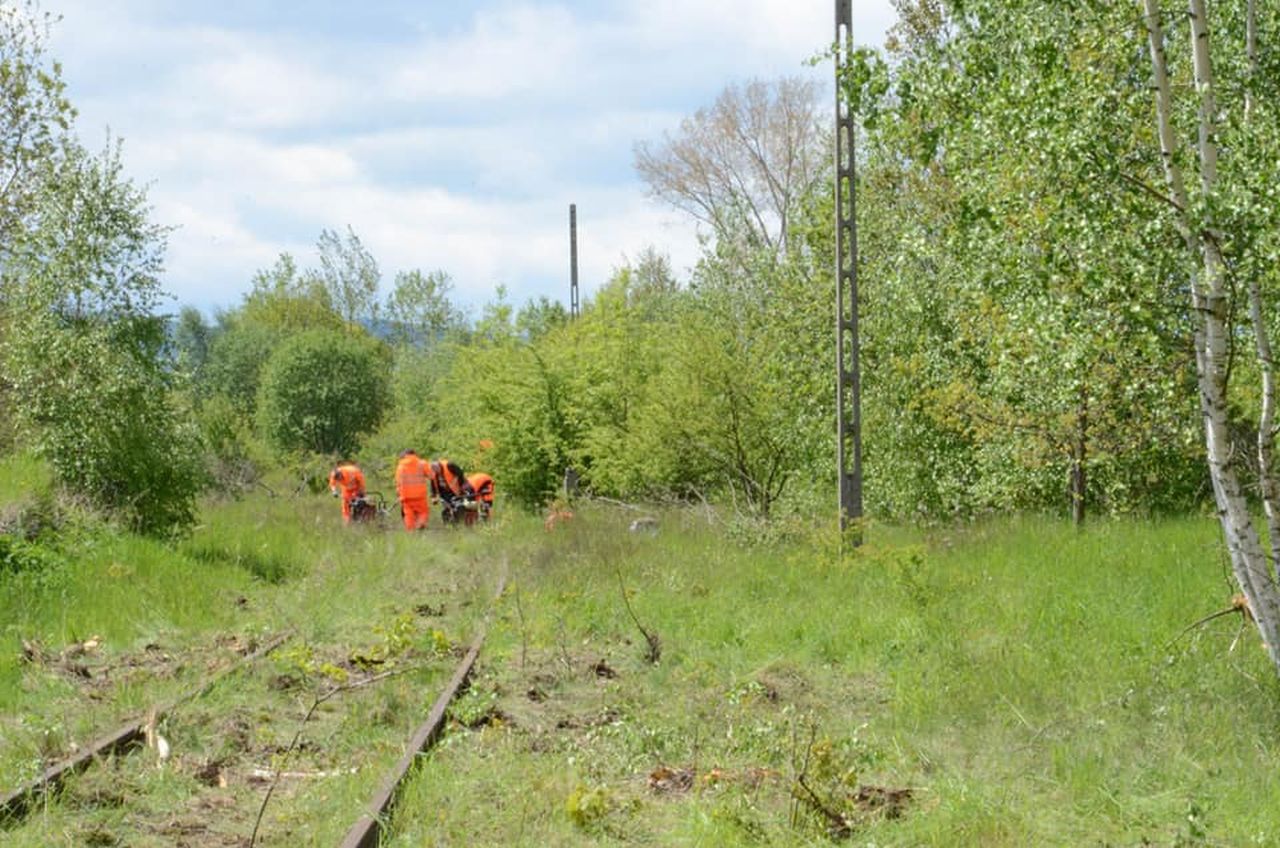 Zahájení obnovy tratě Gryfów – Świeradów. Foto: FM profil městského úřadu Mirsk