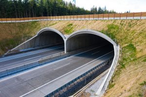 Nový ekodukt na D1. Foto: Skanska