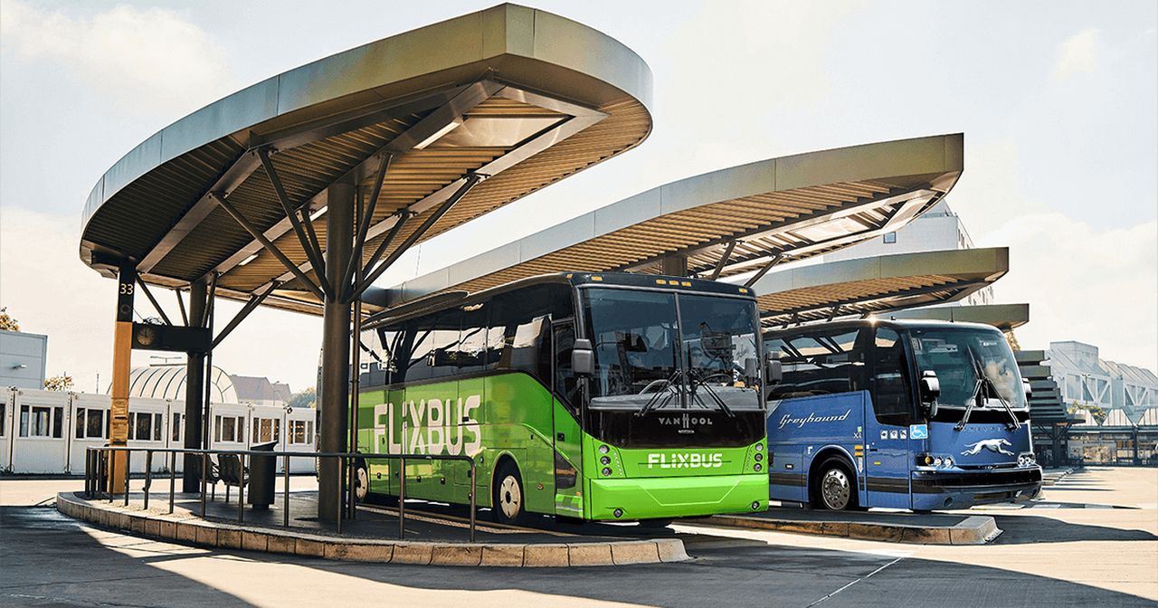 Autobusy společností FlixBus a Greyhound. Foto: FlixMobility