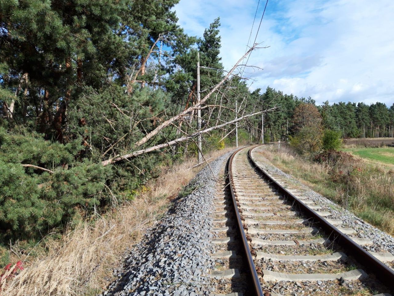 Popadané stromy na železničním zkušebním okruhu. Foto: VUZ