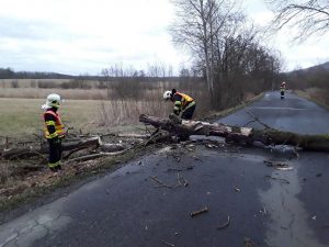 Odstraňování spadlého stromu na Českolipsku. Foto: HZS LK
