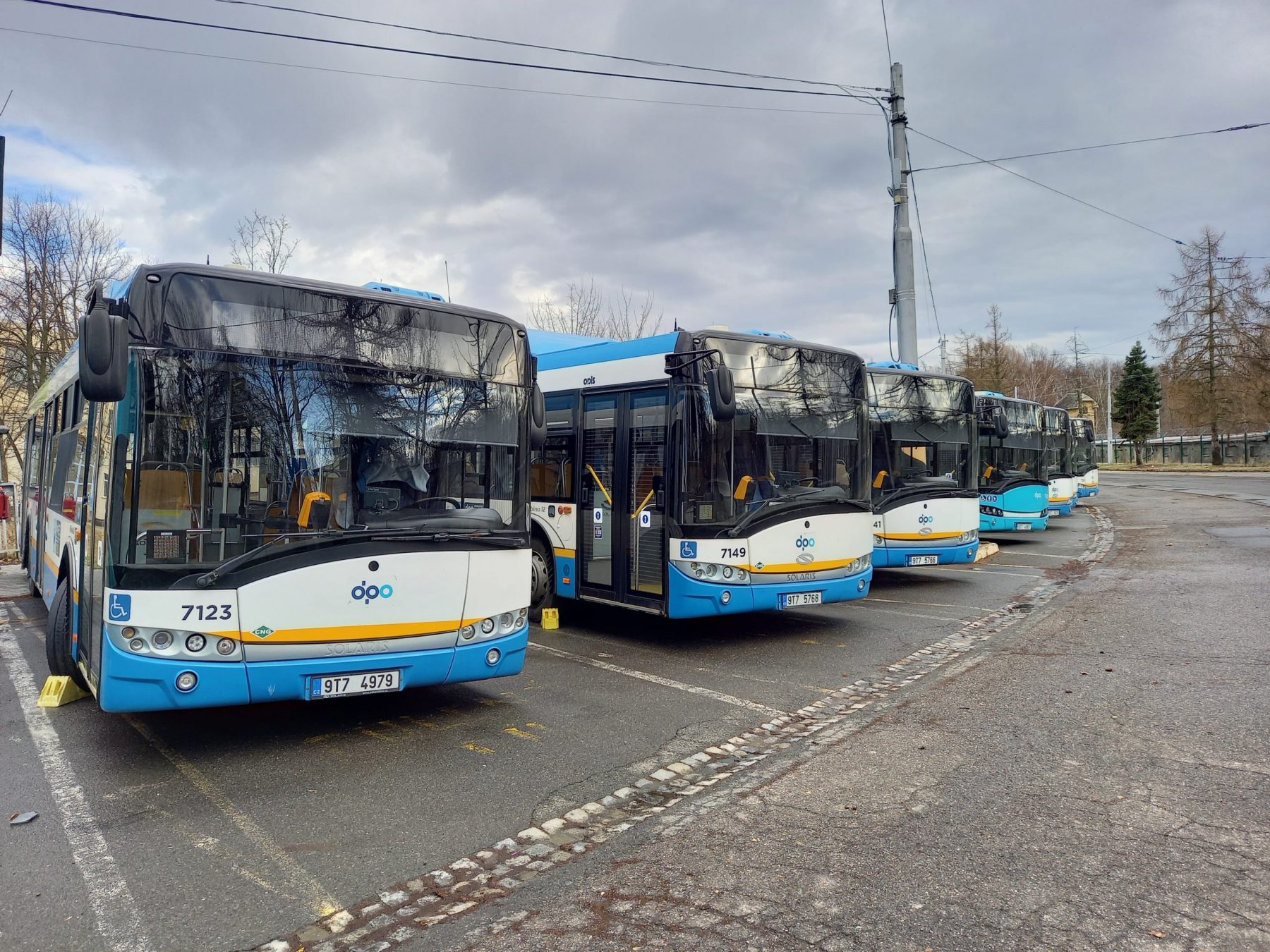 Flotilu ostravských autobusů v budoucnu doplní vodíkové stroje. Foto ilustrační: Jan Meichsner / Zdopravy.cz