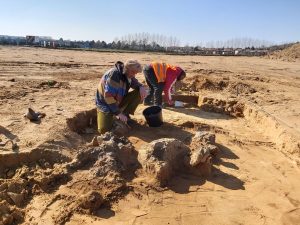 Archeologický průzkum v místech budoucí dálnice D55. Pramen: ŘSD