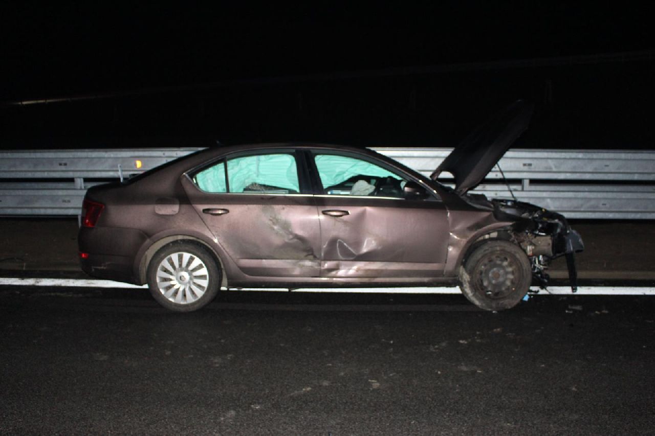 Škoda Octavia po srážce s divokými prasaty na D35. Foto: Policie.cz