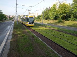 Zelený tramvajový pás v Plzni - Bolevci. Foto: Miroslav Klas