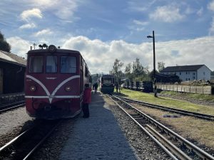JHMD, křižování vlaků v Kamenici nad Lipou. Autor: Zdopravy.cz/Jan Šindelář