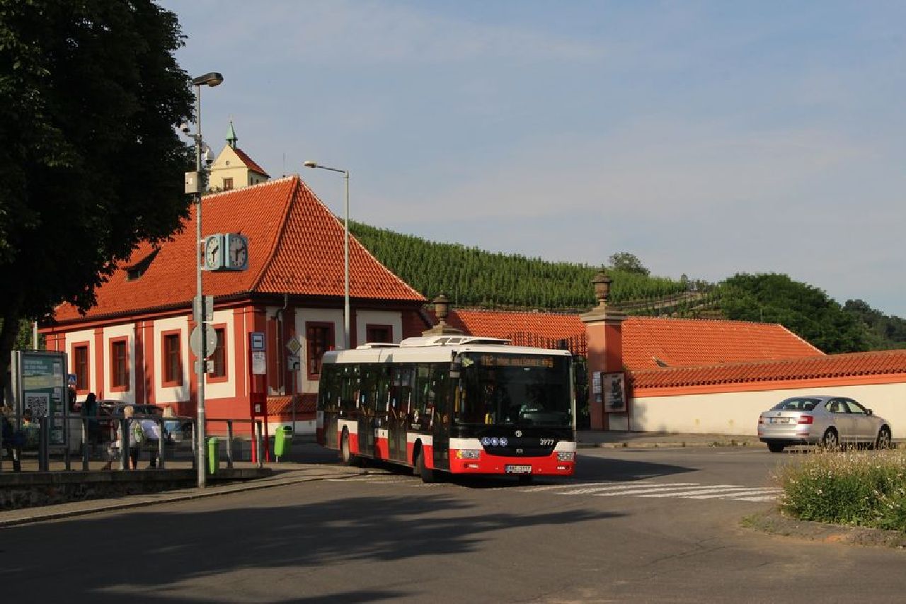 Autobus u zoo Praha. Foto: Ropid