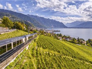 Nová souprava pro GoldenPass Express. ve vinicích nad Montreux. Foto: MOB