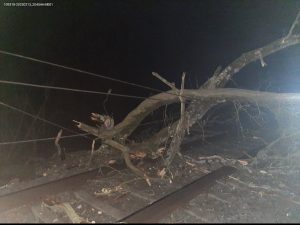 Spadlý strom na koridoru u Červenky. Foto: Správa železnic