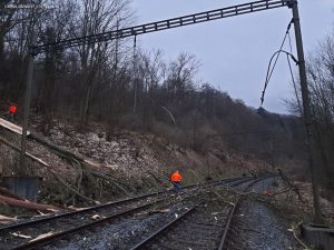Popadané stromy na trati 140 mezi Stráží nad Ohří a Perštejnem. Foto: Správa železnic