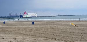 Pláž v Hoek van Holland může zaujmout i fanoušky lodní dopravy, plují tu lodě do rotterdamského přístavu. Foto: Jan Sůra / Zdopravy.cz