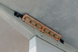 Umělá hnízda pro jiřičky na lávce na Černém Mostě. Pramen: ROPID