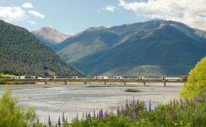 Vlak TranzAlpine na Novém Zélandu. Zdroj: Greg Smith