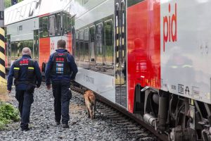 Vlaky nově hlídají proti vandalům i psi. Pramen: České dráhy