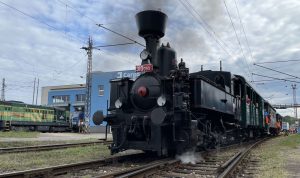 Parní lokomotiva 310 Kafemlejnek. Autor: Zdopravy.cz/Jan Šindelář