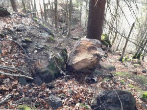 Některé kameny se zachytily za stromy a další překážky ve svahu. Budou co nejdříve odborně odstraněny.
Zdroj: NP České Švýcarsko