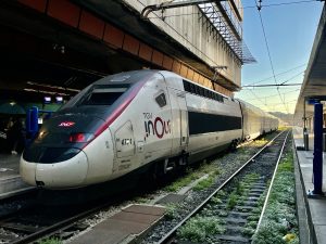 TGV inOui na nádraží v Marseille. Foto: Zdopravy.cz / Vojtěch Očadlý