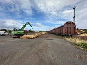 Nakládka dřeva na železnici. Ilustrační foto: SBS Cargo