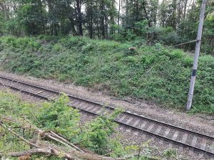 Dřeviny zastavily 5. května provoz na IV. koridoru u Hluboké nad Vltavou. Pramen: Správa železnic