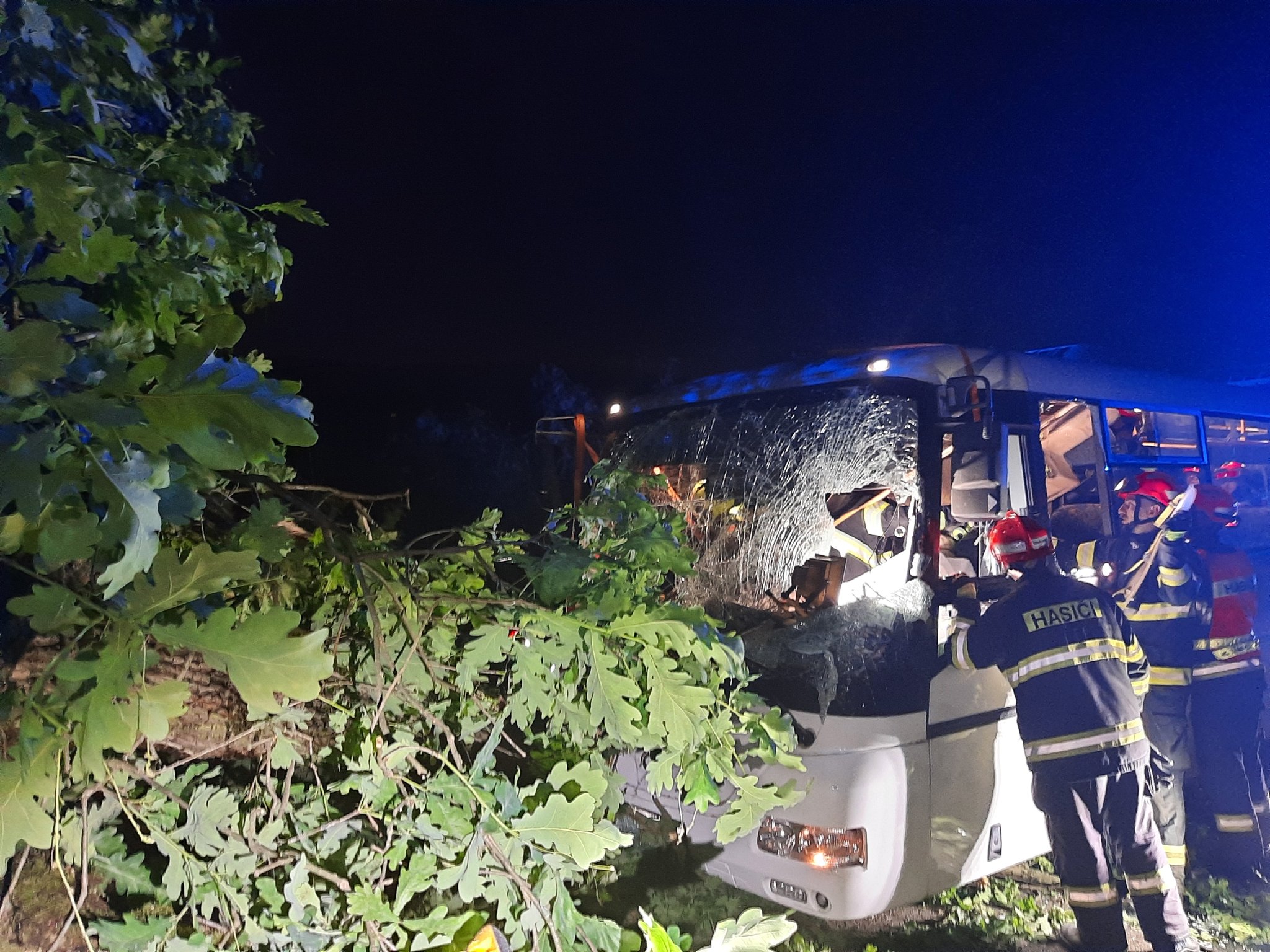 Střet autobusu se stromem v Omicích. Foto: Policie ČR