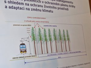 Ochranné pásmo dráhy a stromy. Zdroj: SŽ