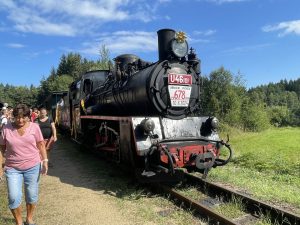 Lokomotiva U46.101 byla vyrobena v roce 1955 v Polsku, proto má přezdívku polka. Autor: Zdopravy.cz/Jan Šindelář