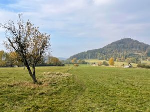 Stavba cyklostezky Česká Kamenice - Kamenický Šenov, stav 10/2024. Foto: Jan Sůra / Zdopravy.cz