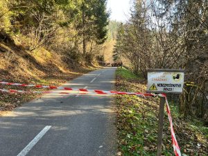 Klády na cyklostezce u Čierného Balogu. Foto: Aleš Bílek