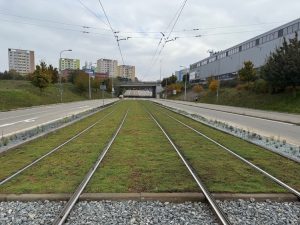 Tramvajová trať Purkyňova. Foto: Brno.eu