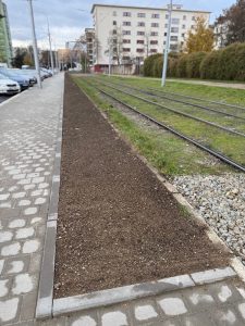 TT Veletržní – zelený pás oddělující chodník pro pěší od tramvajové tratě byl zrekultivován v podobném provedení jako jsou vyvýšené pásy na Nových sadech. Foto: Brno.eu