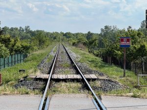 Pohled na trať vedoucí směr hranice s Bosnou a Hercegovinou