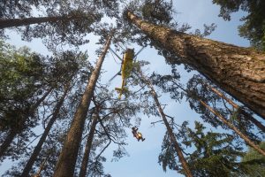 Vrtulník EC135 s pilotem Martinem Svačinou. Zdroj: Jaromír Chalabala / ZZS KHK