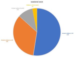 Data o nabíjení auta v roce 2024. Graf: Radek Šindel