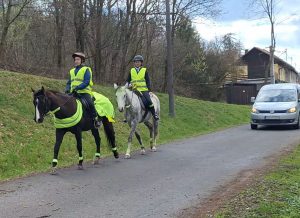 Kůň a jezdec jako účastníci provozu. Autor: Věra Filipová/PaSO