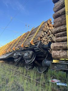 Vykolejení nákladního vlaku v Hessensku. Foto: Freiwillige Feuerwehr Borken