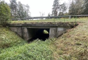 Halámky, most určený k demolici. Pramen: ŘSD