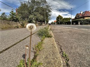 Rekonstrukce Klapkovy ulice v Kobylisích na Praze 8. Foto: TSK