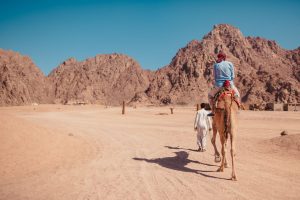 Sharm El Sheikh. Foto: Join Up!
