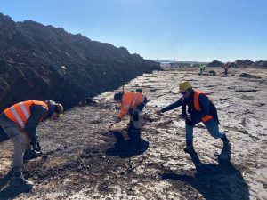 Záchranný archeologický výzkum na úseku Pražského okruhu D1 - Běchovice. Foto: Akademie věd